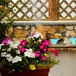 Bonjour Bed & Breakfast Morciano di Leuca