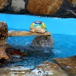 Bonjour Bed & Breakfast Morciano di Leuca