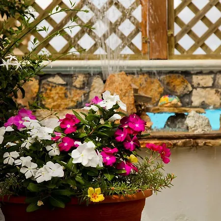 Bonjour Bed & Breakfast Morciano di Leuca