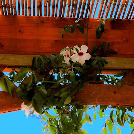 Bonjour 3* 모르치아노 디 루카